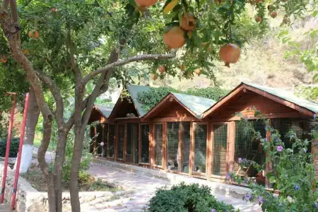 Oranj Ranch - 11
