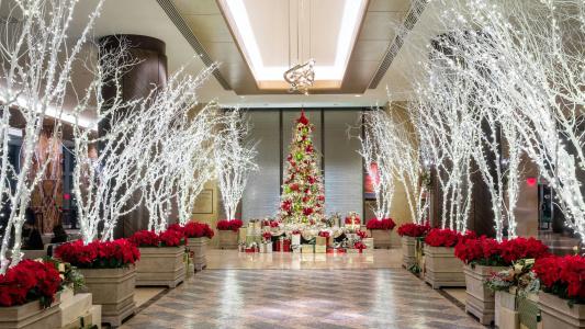 Hilton Americas - - 16