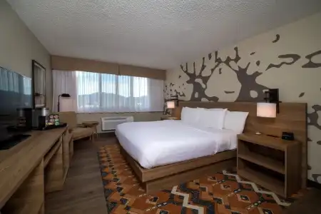 Holiday Inn Estes Park by IHG - 85