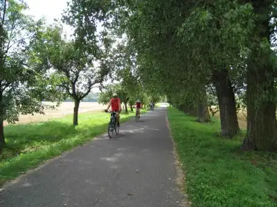Lazensky Park - 12
