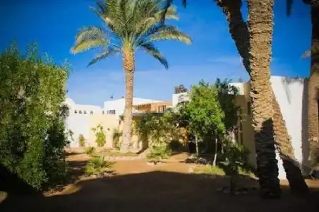 Sunrise Dahab Lodge - 1