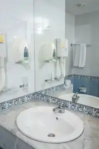 Dolphin - 43