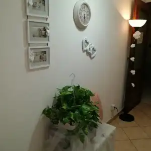 La Perla B & B - 9
