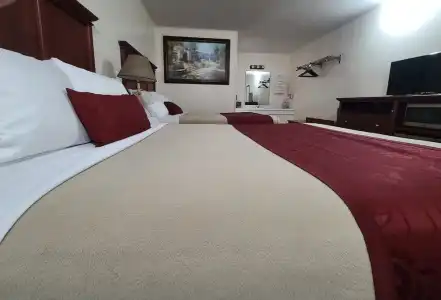 Homestead Motel - 101