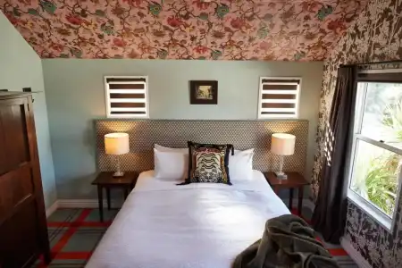 The Dairy Queenstown, A Naumi Chapter - 23