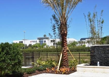 Residence Inn by Marriott Orlando at Millenia - 17