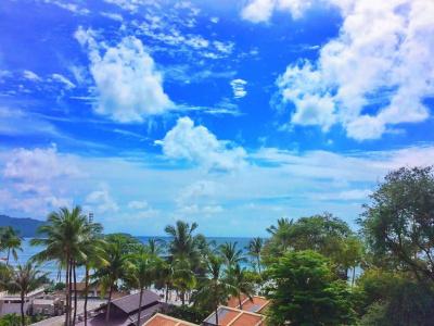 BearPacker Patong Hostel - 18
