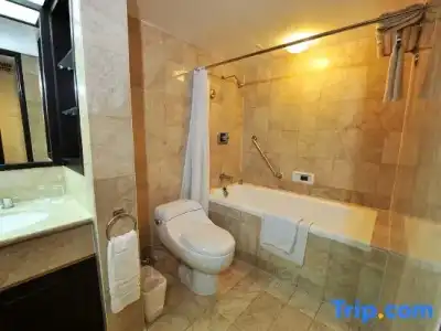 Borobudur Jakarta - 72