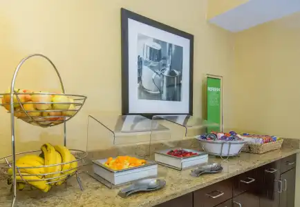 Hampton Inn Dallas-Irving-Las Colinas - 9