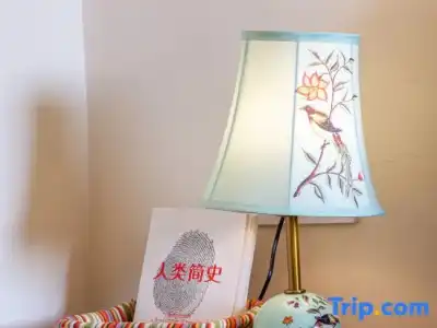 Junshe Boutique Guest House - Hostel - 82