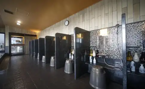 Dormy Inn PREMIUM Fukui Natural Hot Springs - 14