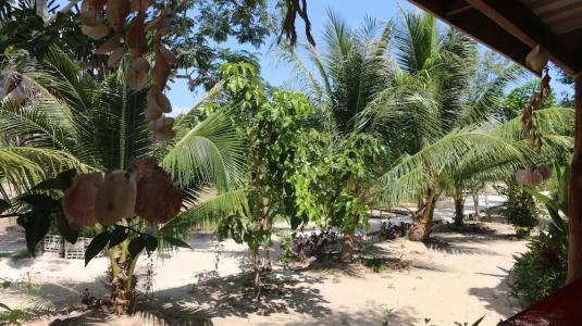 Dolphin Bay Resort - 12