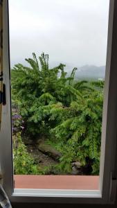 San Sebastian Almuñécar - 7