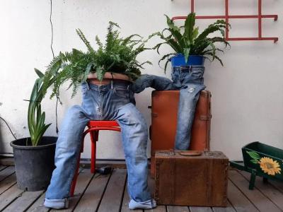 Il Girasole - 26
