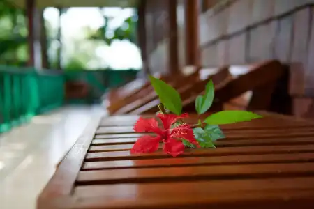 Wattana Village Resort - 6