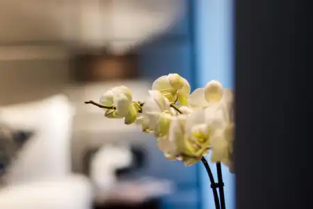 Montcalm Chilworth Townhouse, Paddington - 41