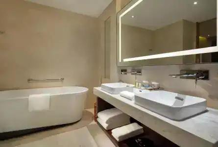 Hilton Garden Inn - 68
