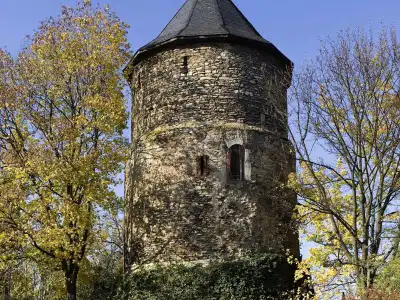 Leonardo Mainz - 22