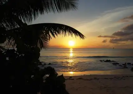 The Islander - 11