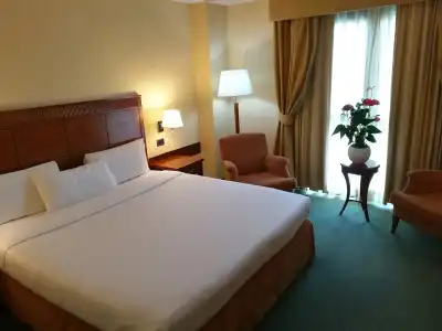 Mercure Rome Leonardo da Vinci Airport - 12