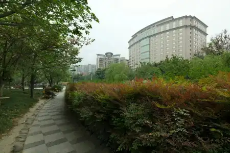 Millennium Chengdu - 33