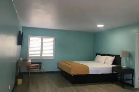NOHO - 19