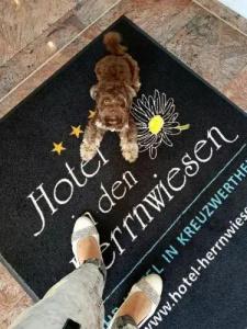 in den Herrnwiesen - 15
