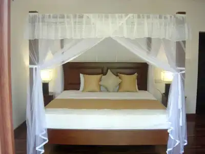 Siddhalepa Ayurveda Resort - All Meals, Ayurveda Treatment, Yoga Resort - 65
