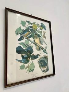 Piccolo Etruria - 55