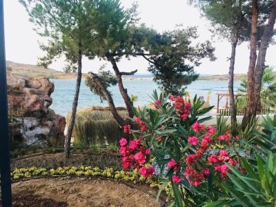 Ivy Sailing Resort - 10