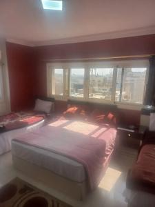 Isis Hostel 2 - 49
