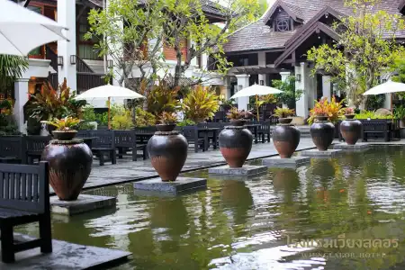 Wienglakor - 24