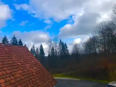 Wald"Peter Aufm Berge" - 7