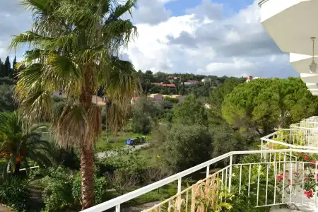 Paloma Blanca - 14
