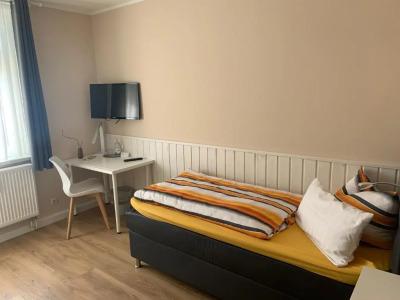 Pension Triebischtal - 15