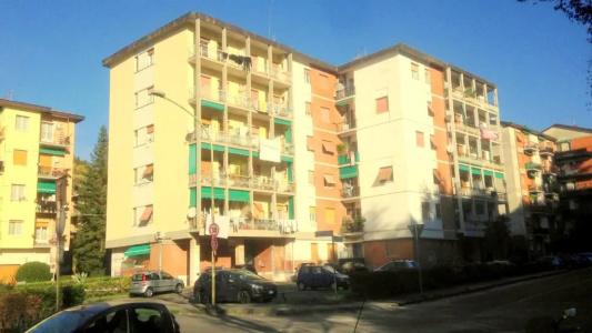 Domus LouLou - 15