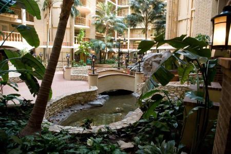 Embassy Suites by Hilton Austin Central - 26