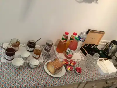 Hôtel Le Neptune en Camargue - 9