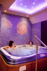 Centrum Green Hill Business & SPA - 19