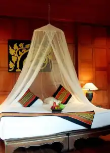 Ma Doo Bua Phuket (มาดูบัวภูเก็ต) - 43