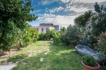 Garden Apartment - 23