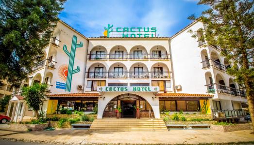 Cactus - 1