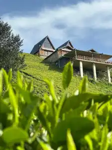 Puğari Otel - 79