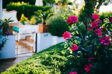 Il Giardino Dell'Arte - 53