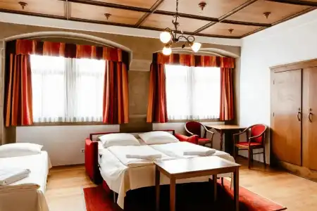 Hotel-Gasthof Goldener Greifen - 54