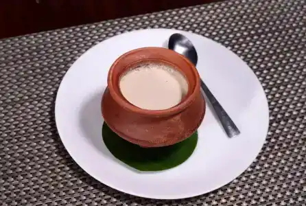 Pride Plaza, Kolkata - 9