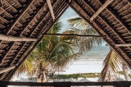 Sahari Zanzibar - 79