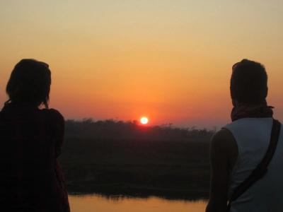 Jungle Wildlife Camp - 2