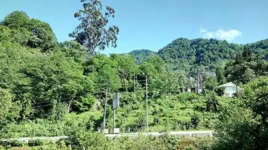 Mari Guest House - 17
