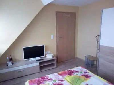 Pension zum Ringelberg - 43